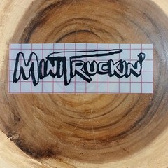 Mini Truckin’ Inspired Vinyl Decal Banner Slammed Lowrider Stance Window Graphic