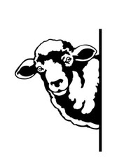 2 Decals – Peeking Animals – 12″ Sheep mirrored images