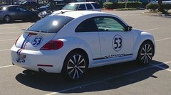 AUTH HERBIE THE LOVE BUG DECAL STICKER KIT ORIGINAL