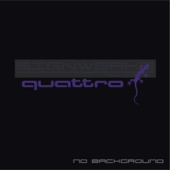 Audi Gecko quattro decal Sticker EURO Racing mod A4 S4 S3 TT R8 A6 Q5 Pair