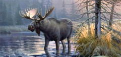Pickup Rear Window Moose Forest Decoration Sticker Decal Waterproof 22″ x 65″