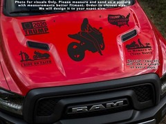 Motorcycle Girl on Crotch Rocket Bikini Biker stunt Fox race Sexy Sticker Decal