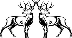 Whitetail Deer Body Left and Right Vinyl Decal Style 2 Multiple Colors and Sizes