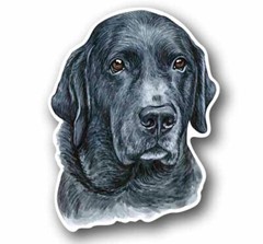 Black Labrador Retriever dog 4.8″ Tall Sticker Decal Waterproof Vinyl