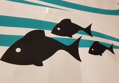 Stripes with fish for boat, caravan , Ute , car , vehicle , trailer 510mm wide