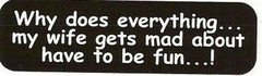 Motorcycle Sticker for Helmets or toolbox 1,133 Why does everything… my wife g