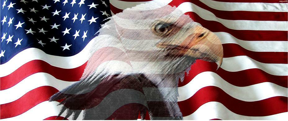 American Flag Eagle Adhesive Vinyl Wrap Matte Finish NON Laminated 12″x36″