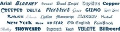Custom Vinyl Lettering Decal Sticker 5″ tall Any Font
