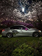 Red Bull Inspired Livery Kit