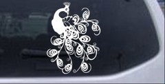 Peacock Swirl Feathers Car or Truck Window Laptop Decal Sticker