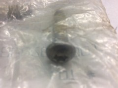 Polaris Screw 7515198 New OEM Stainless Steel 2002 Freedom PWC