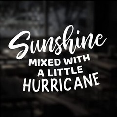 Sunshine Mixed with A Little Hurricane TWO White Vinyl Decals Car Truck Windows