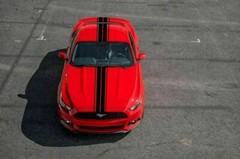 Black Dual Stripes Racing Sticker Decal Universal Fit For Cars Hood Roof Trunk