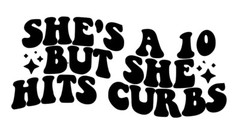She’s A 10 But Hits curbs mind your business Funny Car Truck Van Decal Sticker