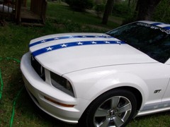 UNIVERSAL 6″ Star Hood Rally Stripe Graphics Stripes FIT All Car Truck SUV