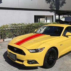 Racing Hood Stripes Stickers Vinyl Decal Decoration For Car SUV Truck Universal