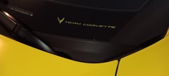 C8 Corvette ACCELERATE YELLOW ‘TEAM CORVETTE’ PLAIN BLANK VINYL INSERT 2 X 7IN