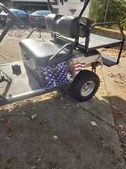 Golf Cart We the people Large Rear Fender Wrap Graphics set FIT all Year and Mod