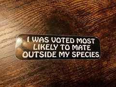 Motorcycle Sticker for Helmets or toolbox #656