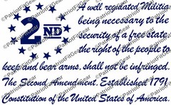 The Second Amendment,12″x7.5″,Gun Rights,Molon Labe,We The People,Vinyl Decal