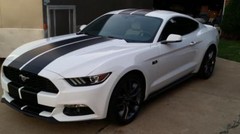 10 11 12 13 14 Ford MUSTANG 10″ DUEL Racing Vinyl Stripe Graphic Decal 36 FT.