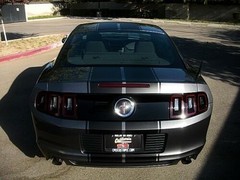 10 11 12 13 14 Ford MUSTANG 10″ DUEL Racing Vinyl Stripe Graphic Decal 36 FT.