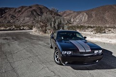 FITS Dodge Challenger 08-14 Racing Stripes Graphic Vinyl Decal 36 FT +Pinstripe