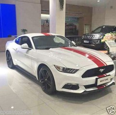 Car Decals Racing Dual Stripe 11” for Mustang Hood Roof Rear sticker 5pcs ZC333