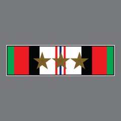 MI-6042 Afghanistan Campaign Service Ribbon Bronze Stars Sticker Window Decal