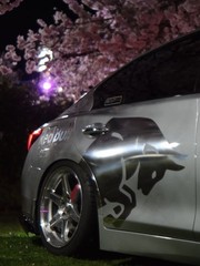 Red Bull Inspired Livery Kit