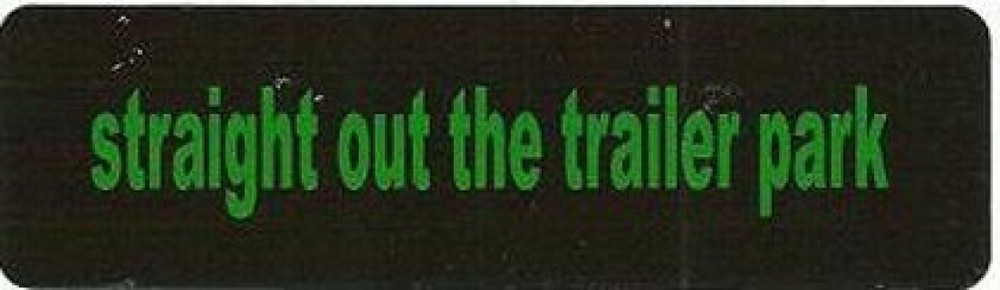 Motorcycle Sticker for Helmets or toolbox #836 straight out the trailer park