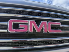Precut DECALS for 2015 2016 2017 2018 2019 2020 GMC CANYON Emblem Overlay Set