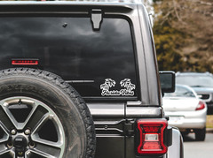 Florida Vibes Decal Sticker Vinyl Graphics – 6.5 x 3.1 inch