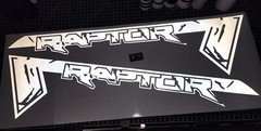 Bed side graphics. REFLECTIVE FITS Ford Raptor truck all years. Bedstripes NEW