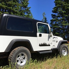 Tree Decal for Doors of TJ Jeep Wrangler (1997-2006)