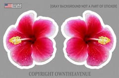 Hawaiian Hibiscus Flower Sticker Car Window Truck Vinyl Decal 2 PACK V-DRP42