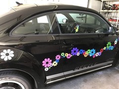 40 Vibrant Daisy Flower Car Stickers – Bright Rainbow Decals for Customization