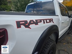 2021-2025 Ford Raptor Rear Side Raptor- Comes In Pair Vinyl Decal