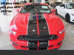 Ford MUSTANG 10″ DUEL Twin Vinyl Racing Stripes Decals 1/2″ Pinstriped 40 FEET