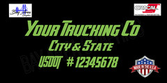 TRUCK DOOR DECALS SET X2 CUSTOM USDOT COMPANY NAME CITY STATE VINYL
