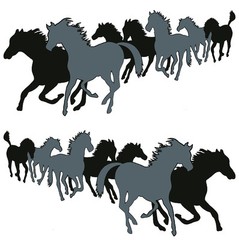 Running horses Large Graphic for RV, Horse Trailer, Wall High Quality 50X23 inch