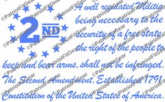 The Second Amendment,12″x7.5″,Gun Rights,Molon Labe,We The People,Vinyl Decal
