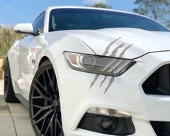 White Silver Eye Scar Mark, Scratch Shape Decal For Car Headlight Decoration