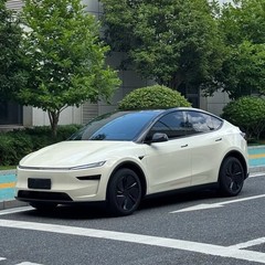 Tesla Model Y 2025-2026 PreCut Paint Protection Film Wrap Change Pepper White