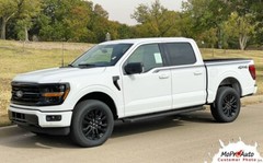 ENFORCER FP700 2021-2024 Ford F-150 Side Body Decals Stripes Vinyl Graphic Black