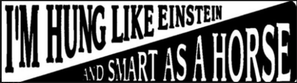 I’m Hung Like Einstein And Smart As A Horse Motorcycle Helmet Sticker EE