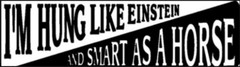 I’m Hung Like Einstein And Smart As A Horse Motorcycle Helmet Sticker C