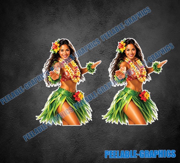 Hawaii Hula Girl Music Hibiscus Sticker Vinyl Decal Hawaiian Beach 2 Pack C