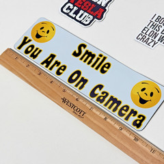 Lot of 3 Tesla Anti Elon Musk DOGE Magnetic Vinyl Bumper Stickers (A3)