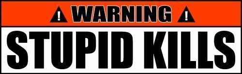 Stupid Kills Funny Bumper Stickers 2Pack Funny Decals 8″ wide Orange White #36